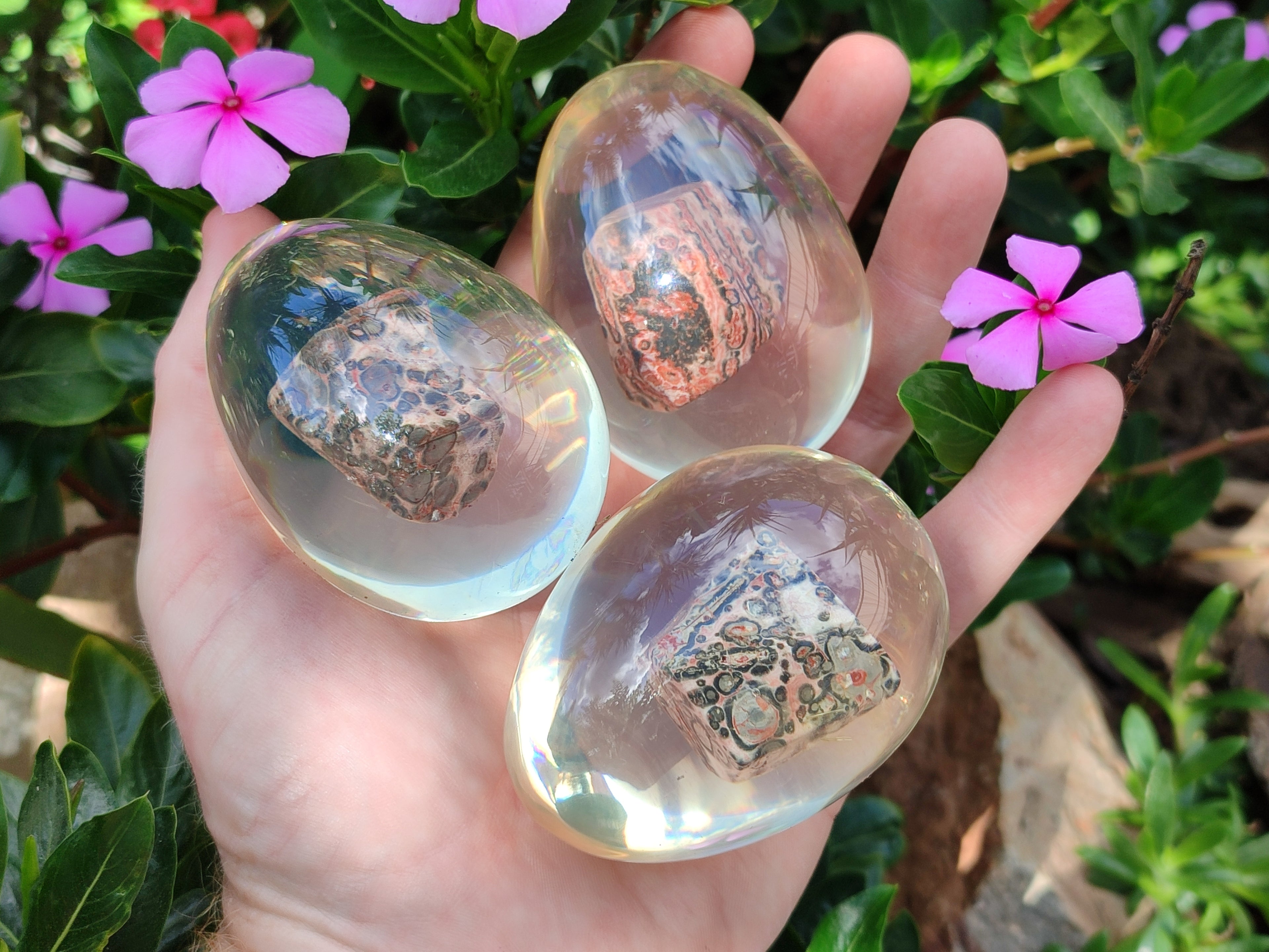 Polished Snakeskin Rhyolite Jasper Specimen In Resin Egg - Sold Per Item - From Australia - Toprock Gemstones and Minerals 