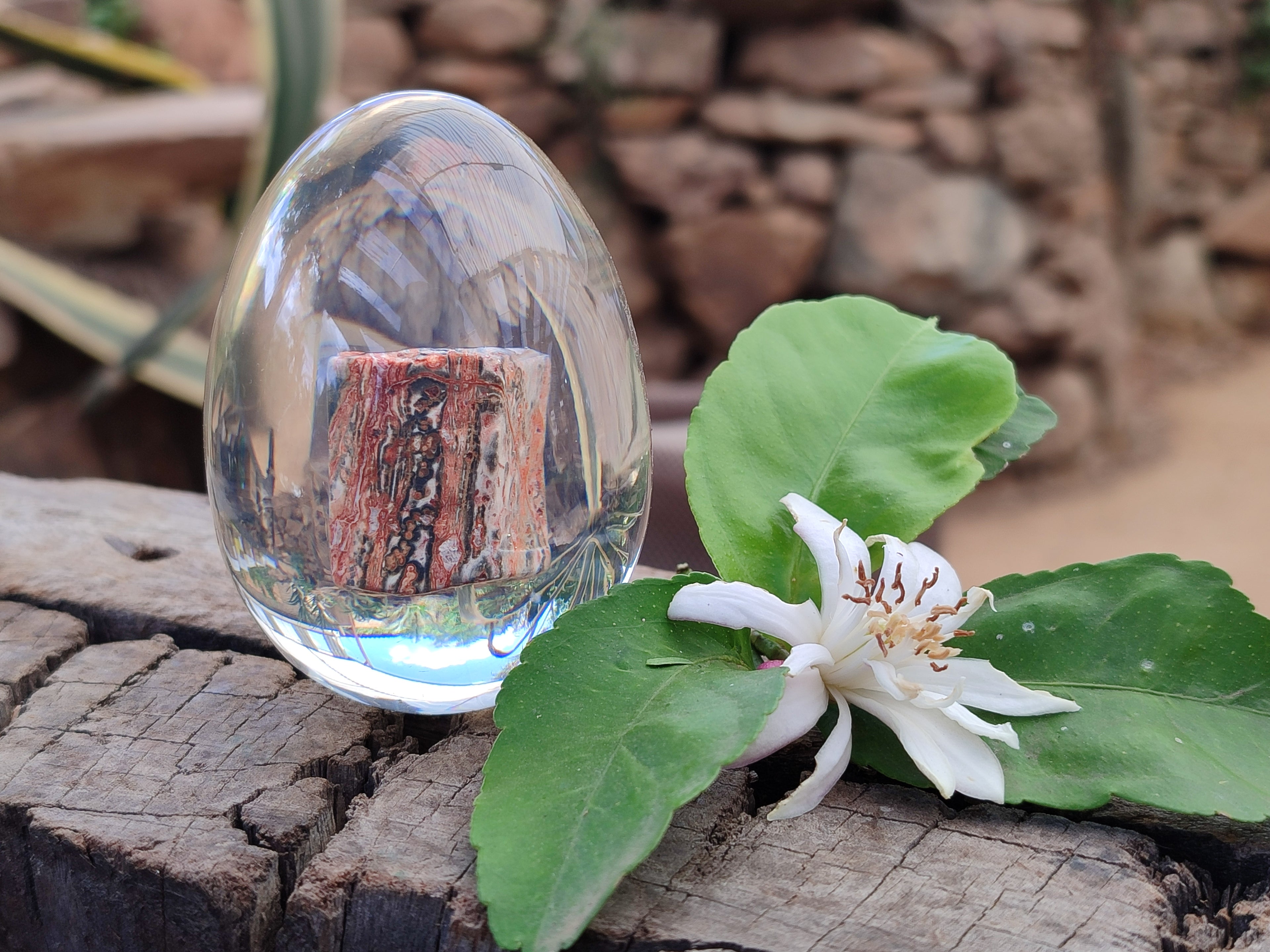 Polished Snakeskin Rhyolite Jasper Specimen In Resin Egg - Sold Per Item - From Australia - Toprock Gemstones and Minerals 