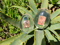 Polished Snakeskin Rhyolite Jasper Specimen In Resin Egg - Sold Per Item - From Australia - Toprock Gemstones and Minerals 
