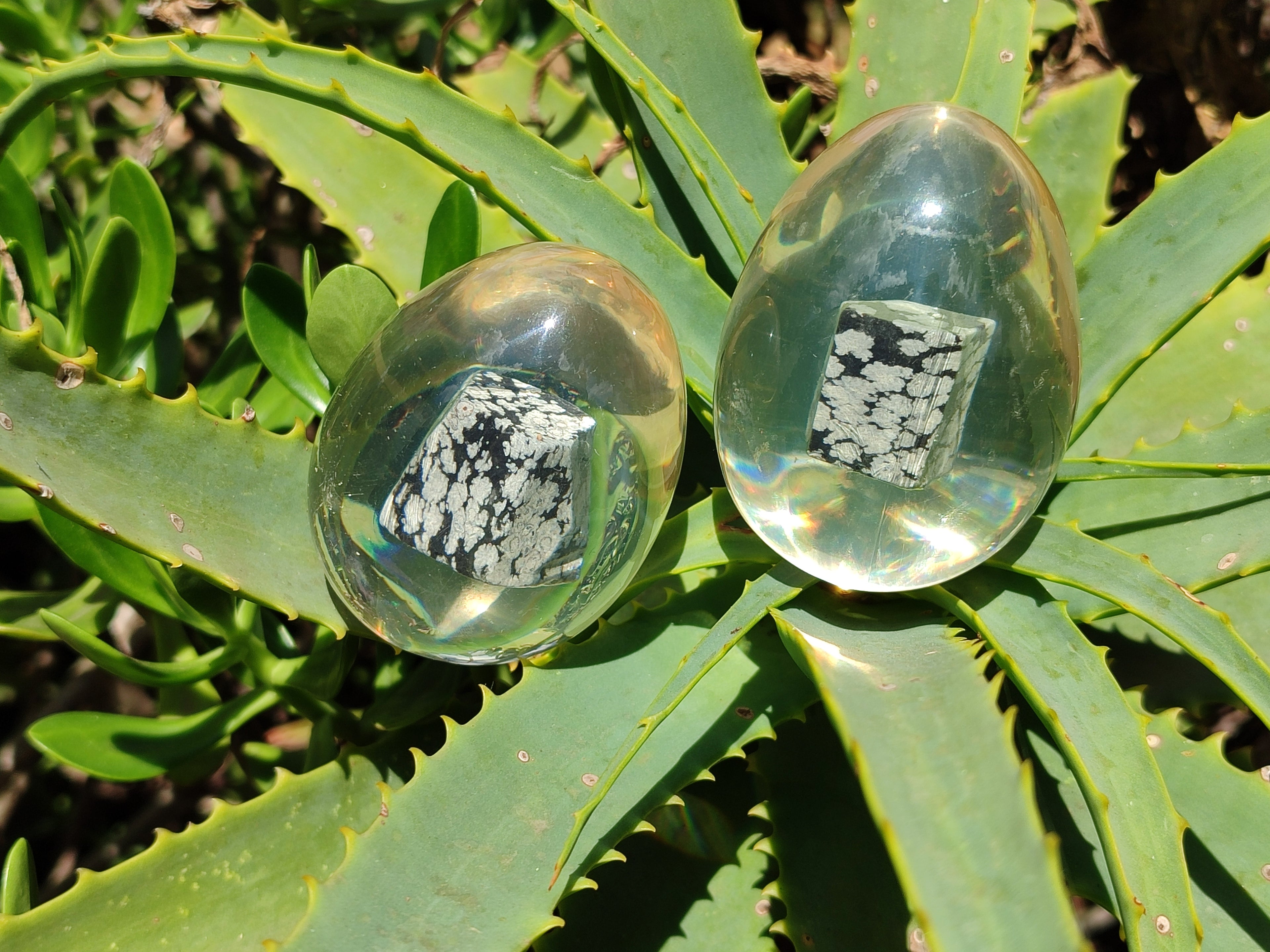 Polished Snowflake Obsidion In Resin Egg - Sold Per Item - From Mexico - Toprock Gemstones and Minerals 