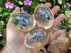 Polished Snowflake Obsidion In Resin Egg - Sold Per Item - From Mexico - Toprock Gemstones and Minerals 