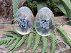 Polished Snowflake Obsidion In Resin Egg - Sold Per Item - From Mexico - Toprock Gemstones and Minerals 
