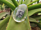 Polished Snowflake Obsidion In Resin Egg - Sold Per Item - From Mexico - Toprock Gemstones and Minerals 