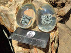 Polished Snowflake Obsidion In Resin Egg - Sold Per Item - From Mexico - Toprock Gemstones and Minerals 