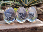 Polished Snowflake Obsidion In Resin Egg - Sold Per Item - From Mexico - Toprock Gemstones and Minerals 