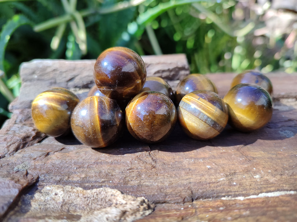 Polished Mini Tigers Eye Sphere-Balls - Sold Per Item - From Northern Cape, South Africa - Toprock Gemstones and Minerals 