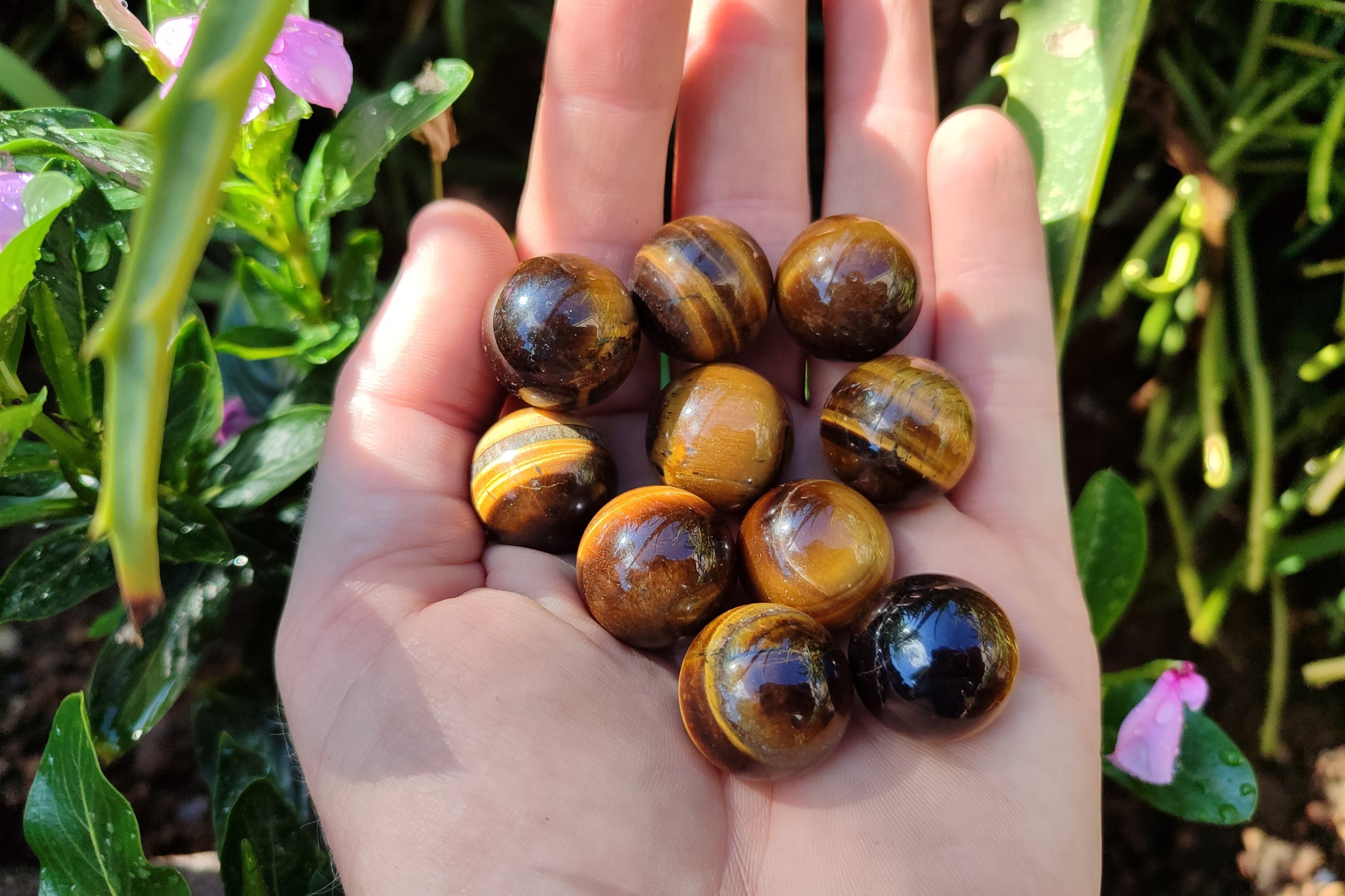 Polished Mini Tigers Eye Sphere-Balls - Sold Per Item - From Northern Cape, South Africa - Toprock Gemstones and Minerals 