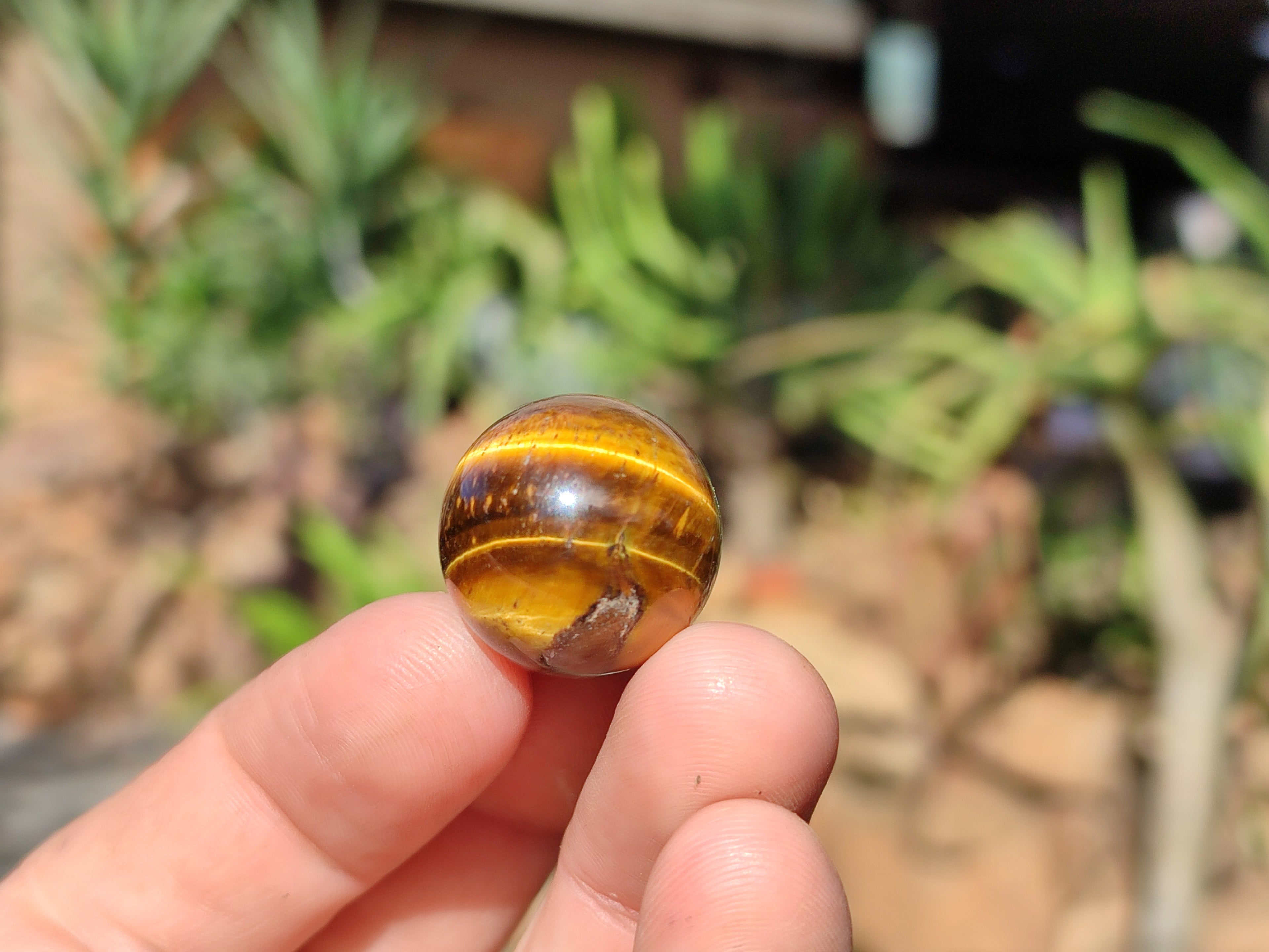 Polished Mini Tigers Eye Sphere-Balls - Sold Per Item - From Northern Cape, South Africa - Toprock Gemstones and Minerals 