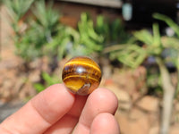 Polished Mini Tigers Eye Sphere-Balls - Sold Per Item - From Northern Cape, South Africa