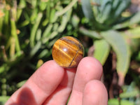 Polished Mini Tigers Eye Sphere-Balls - Sold Per Item - From Northern Cape, South Africa