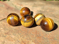 Polished Mini Tigers Eye Sphere-Balls - Sold Per Item - From Northern Cape, South Africa
