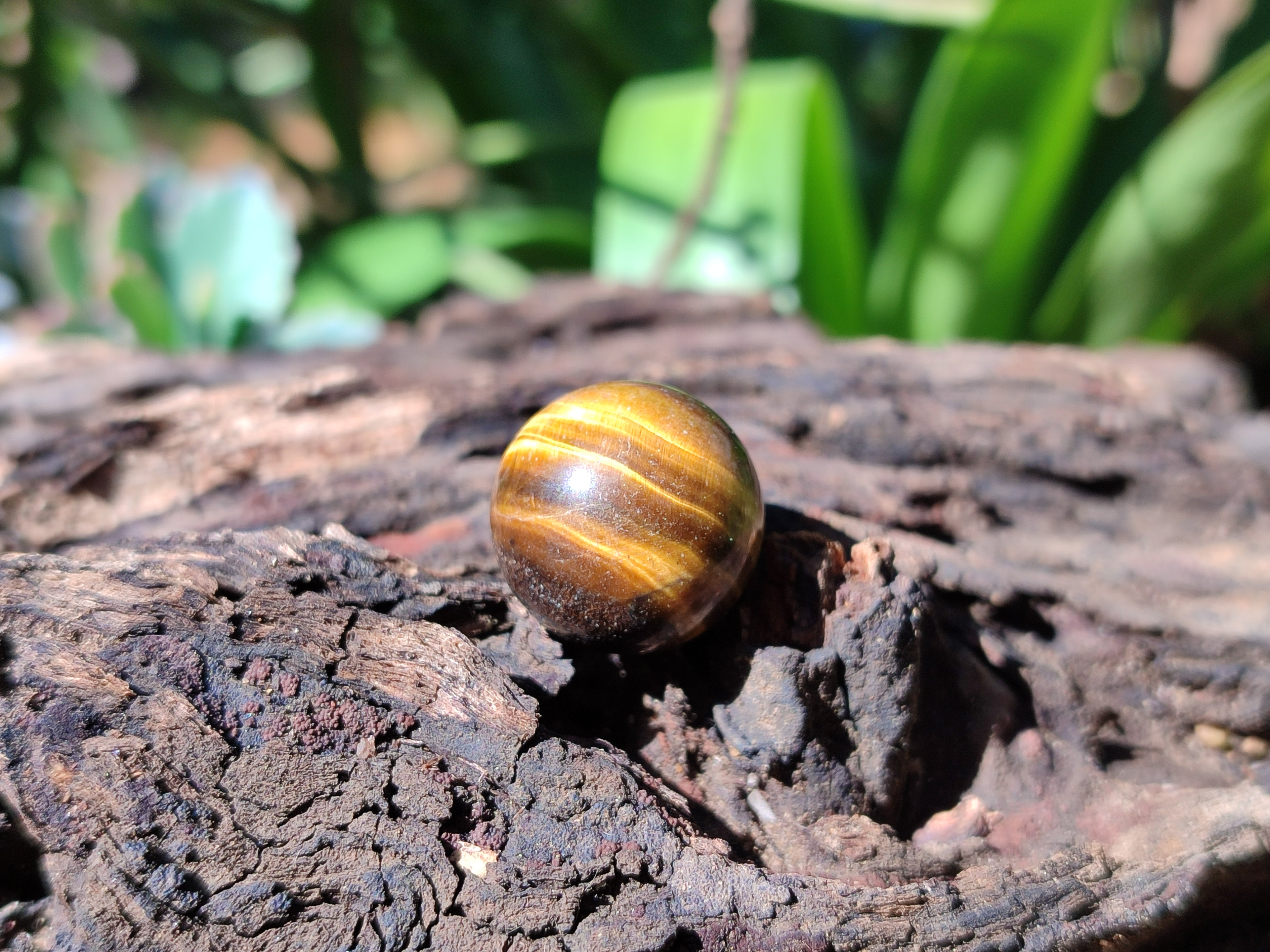 Polished Mini Tigers Eye Sphere-Balls - Sold Per Item - From Northern Cape, South Africa - Toprock Gemstones and Minerals 