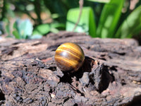 Polished Mini Tigers Eye Sphere-Balls - Sold Per Item - From Northern Cape, South Africa