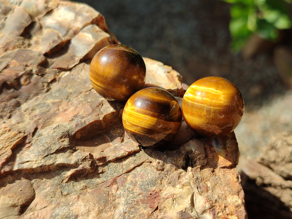 Polished Mini Tigers Eye Sphere-Balls - Sold Per Item - From Northern Cape, South Africa - Toprock Gemstones and Minerals 