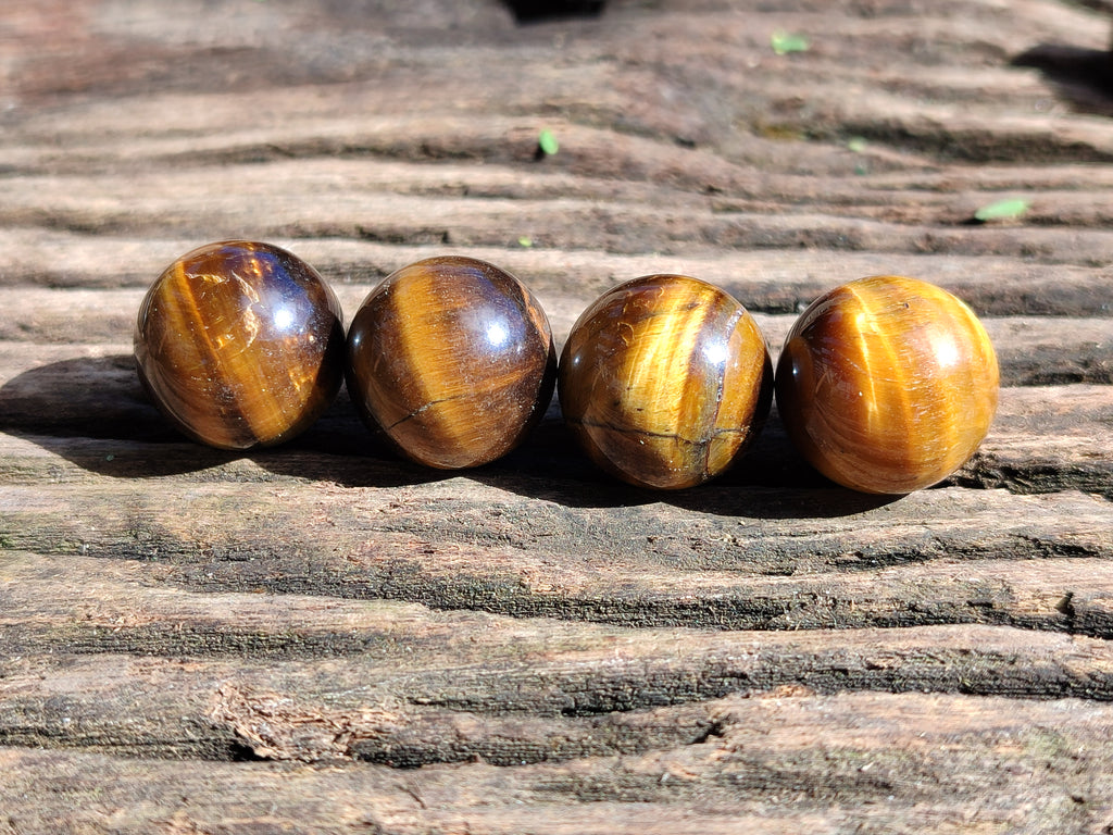 Polished Mini Tigers Eye Sphere-Balls - Sold Per Item - From Northern Cape, South Africa - Toprock Gemstones and Minerals 