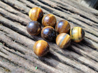Polished Mini Tigers Eye Sphere-Balls - Sold Per Item - From Northern Cape, South Africa - Toprock Gemstones and Minerals 