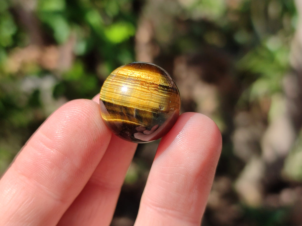 Polished Mini Tigers Eye Sphere-Balls - Sold Per Item - From Northern Cape, South Africa - Toprock Gemstones and Minerals 