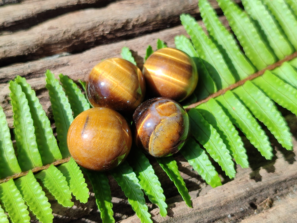 Polished Mini Tigers Eye Sphere-Balls - Sold Per Item - From Northern Cape, South Africa - Toprock Gemstones and Minerals 