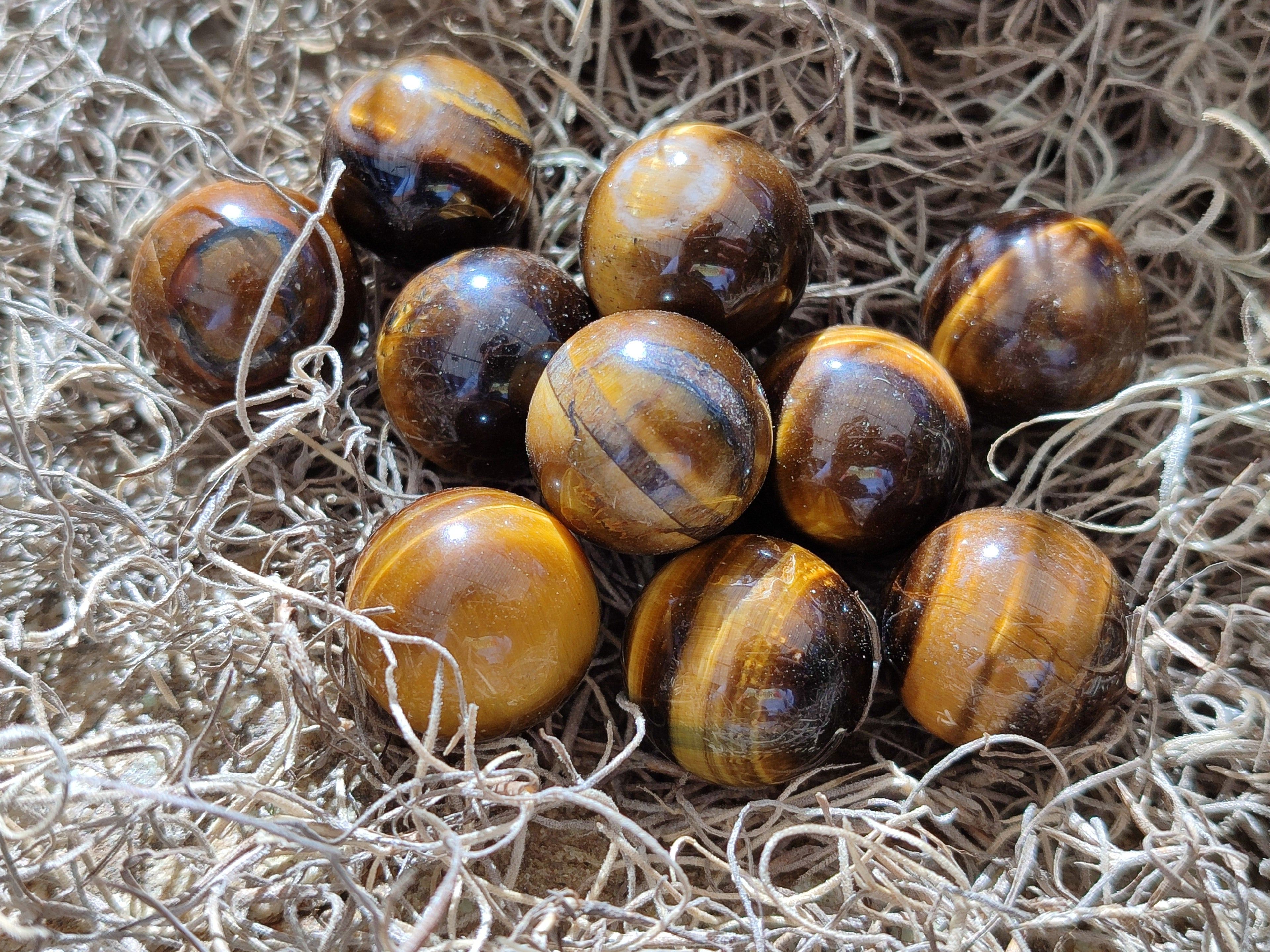 Polished Mini Tigers Eye Sphere-Balls - Sold Per Item - From Northern Cape, South Africa - Toprock Gemstones and Minerals 