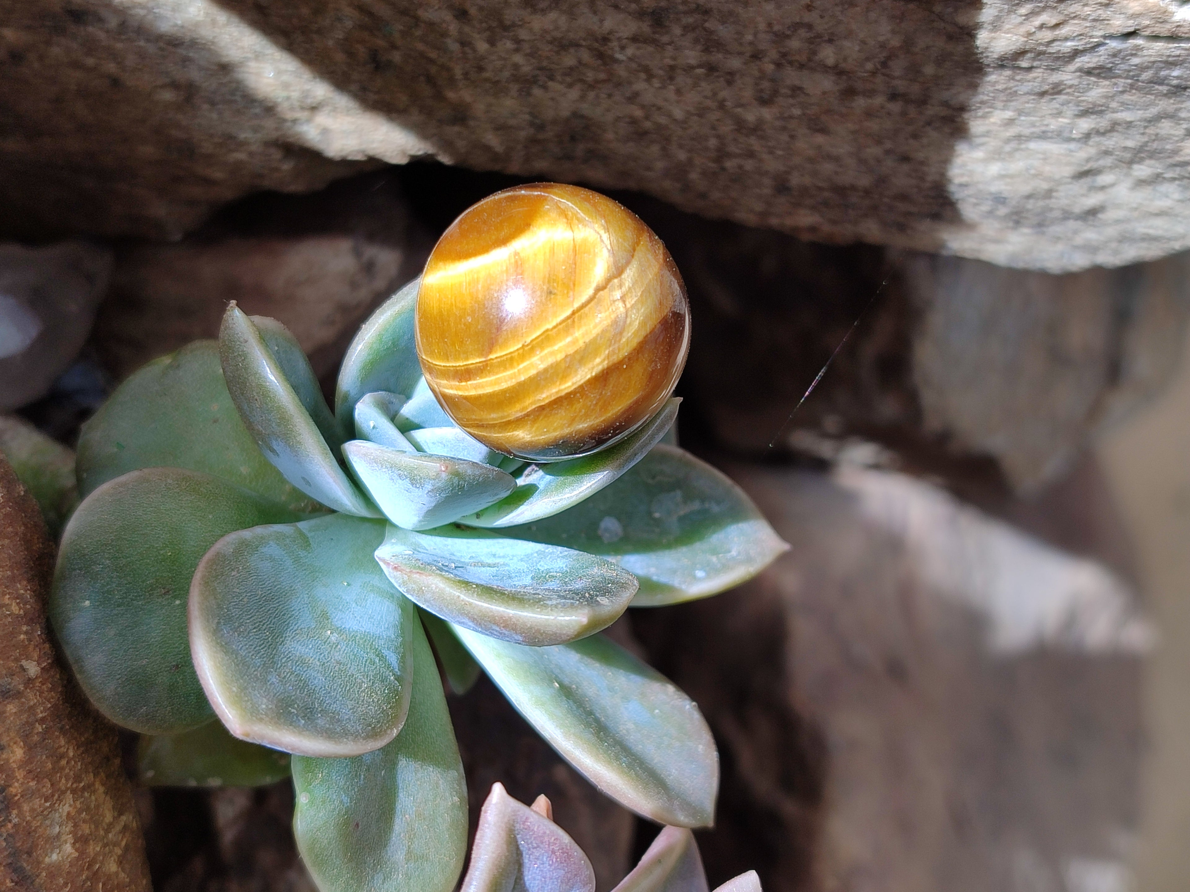 Polished Mini Tigers Eye Sphere-Balls - Sold Per Item - From Northern Cape, South Africa - Toprock Gemstones and Minerals 