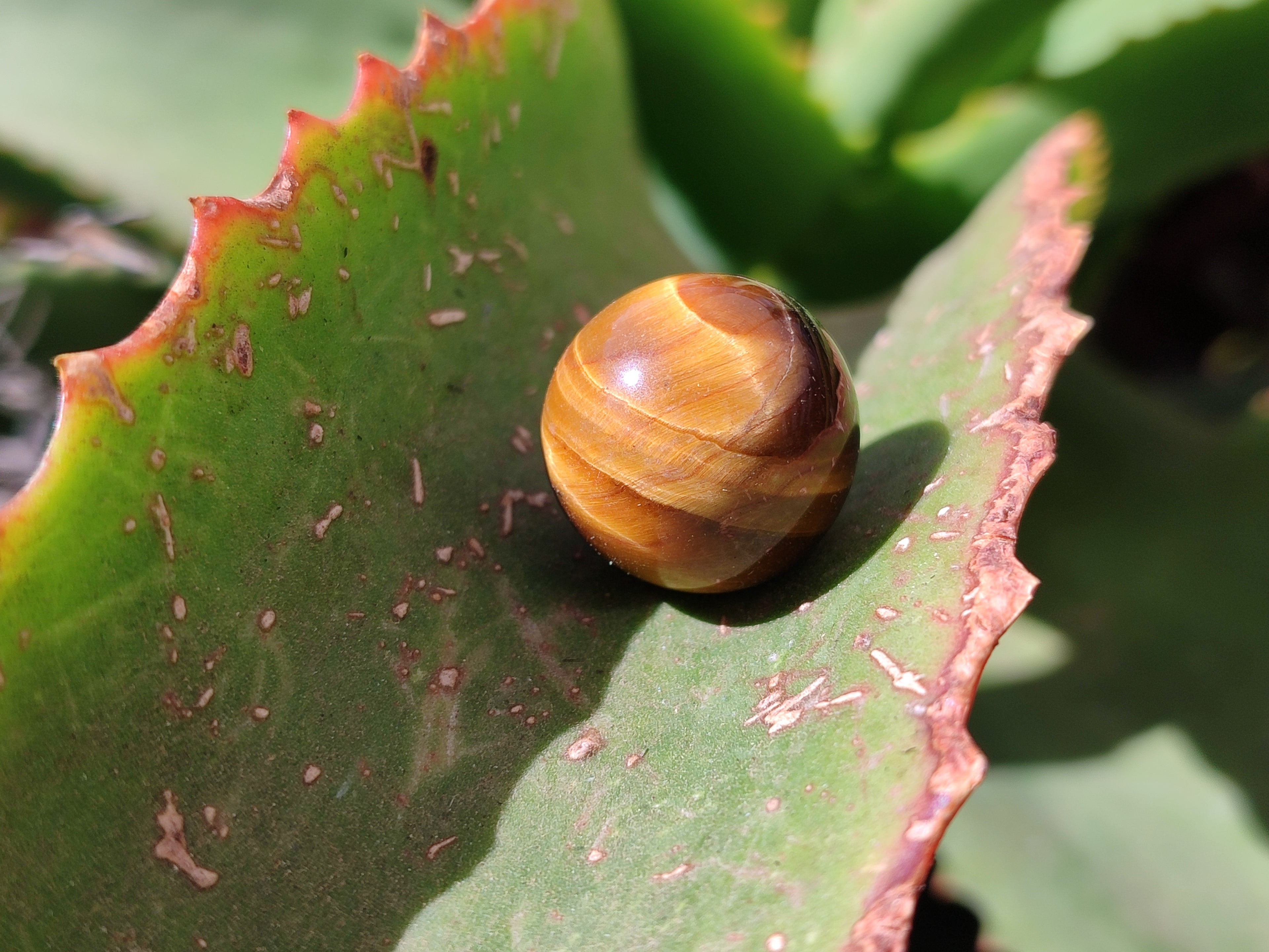 Polished Mini Tigers Eye Sphere-Balls - Sold Per Item - From Northern Cape, South Africa - Toprock Gemstones and Minerals 