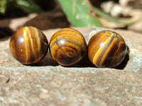 Polished Mini Tigers Eye Sphere-Balls - Sold Per Item - From Northern Cape, South Africa