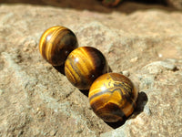 Polished Mini Tigers Eye Sphere-Balls - Sold Per Item - From Northern Cape, South Africa
