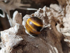 Polished Mini Tigers Eye Sphere-Balls - Sold Per Item - From Northern Cape, South Africa - Toprock Gemstones and Minerals 