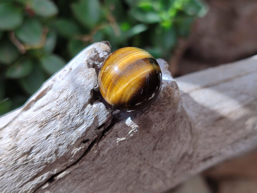 Polished Mini Tigers Eye Sphere-Balls - Sold Per Item - From Northern Cape, South Africa - Toprock Gemstones and Minerals 