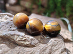 Polished Mini Tigers Eye Sphere-Balls - Sold Per Item - From Northern Cape, South Africa - Toprock Gemstones and Minerals 