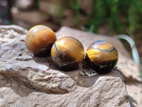 Polished Mini Tigers Eye Sphere-Balls - Sold Per Item - From Northern Cape, South Africa