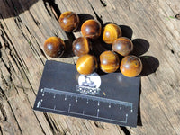Polished Mini Tigers Eye Sphere-Balls - Sold Per Item - From Northern Cape, South Africa
