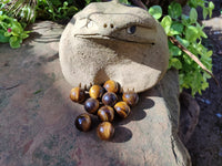 Polished Mini Tigers Eye Sphere-Balls - Sold Per Item - From Northern Cape, South Africa