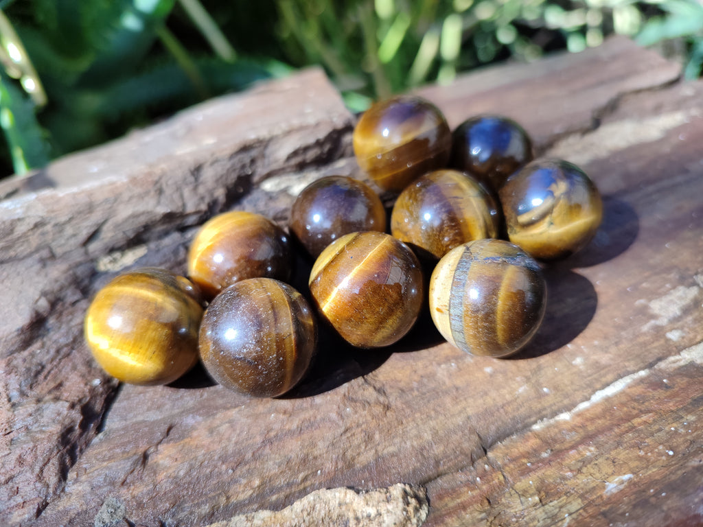 Polished Mini Tigers Eye Sphere-Balls - Sold Per Item - From Northern Cape, South Africa - Toprock Gemstones and Minerals 