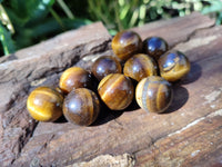 Polished Mini Tigers Eye Sphere-Balls - Sold Per Item - From Northern Cape, South Africa