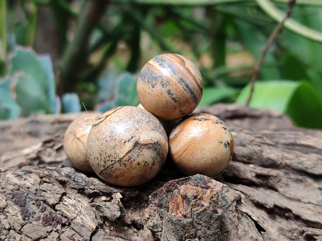 Polished Mini Namibian Desert Picture Stone Jasper Sphere-Balls - Sold Per Item - From Ais-Ais Namibia - Toprock Gemstones and Minerals 
