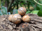 Polished Mini Namibian Desert Picture Stone Jasper Sphere-Balls - Sold Per Item - From Ais-Ais Namibia - Toprock Gemstones and Minerals 