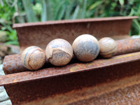 Polished Mini Namibian Desert Picture Stone Jasper Sphere-Balls - Sold Per Item - From Ais-Ais Namibia - Toprock Gemstones and Minerals 