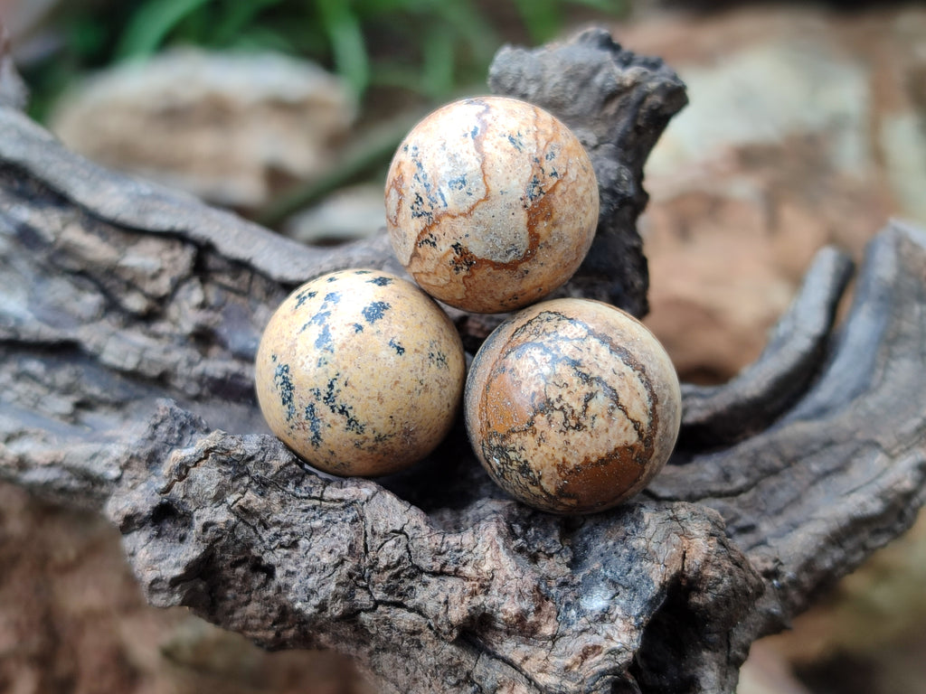 Polished Mini Namibian Desert Picture Stone Jasper Sphere-Balls - Sold Per Item - From Ais-Ais Namibia - Toprock Gemstones and Minerals 