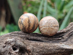 Polished Mini Namibian Desert Picture Stone Jasper Sphere-Balls - Sold Per Item - From Ais-Ais Namibia - Toprock Gemstones and Minerals 