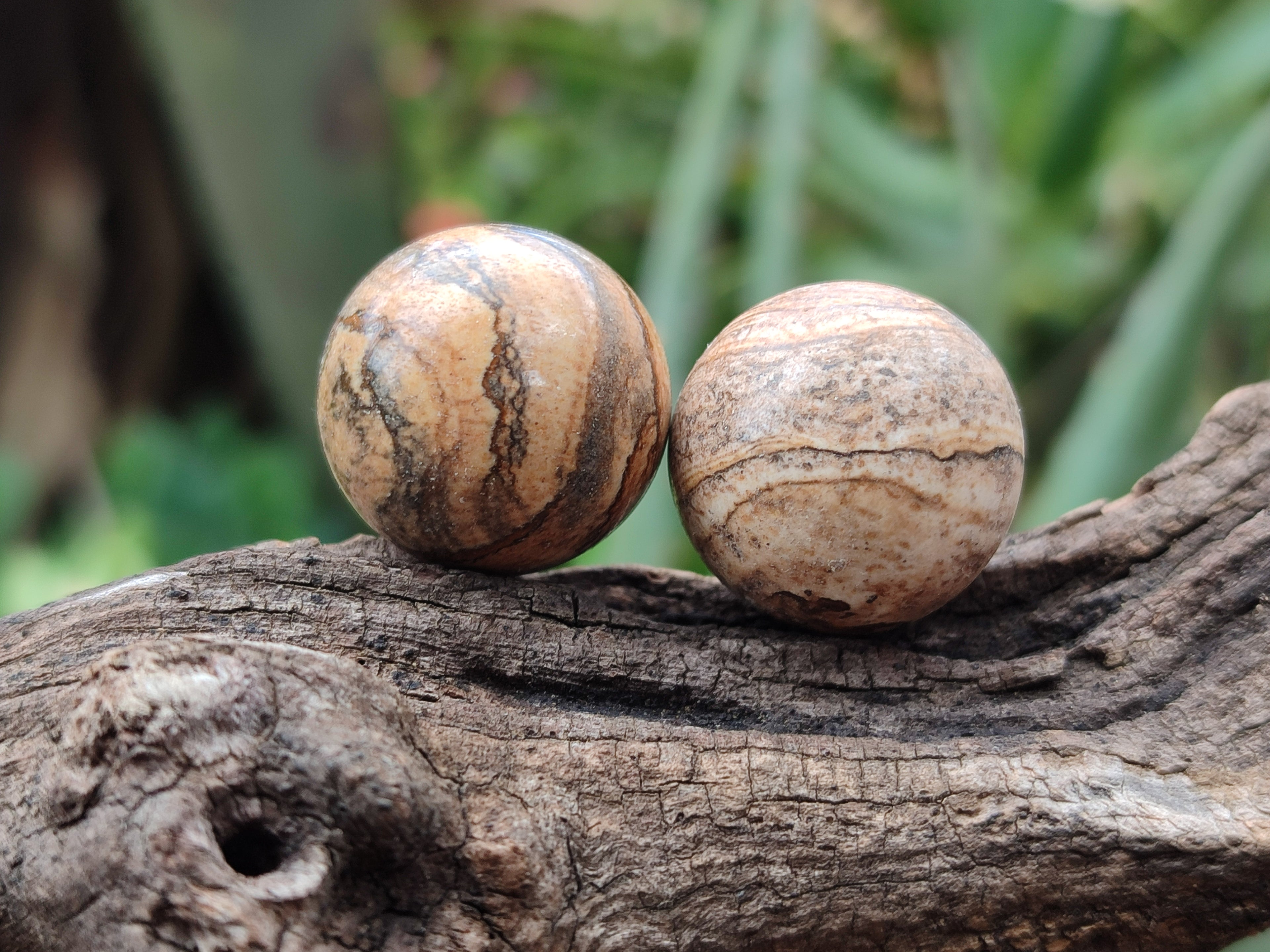 Polished Mini Namibian Desert Picture Stone Jasper Sphere-Balls - Sold Per Item - From Ais-Ais Namibia - Toprock Gemstones and Minerals 