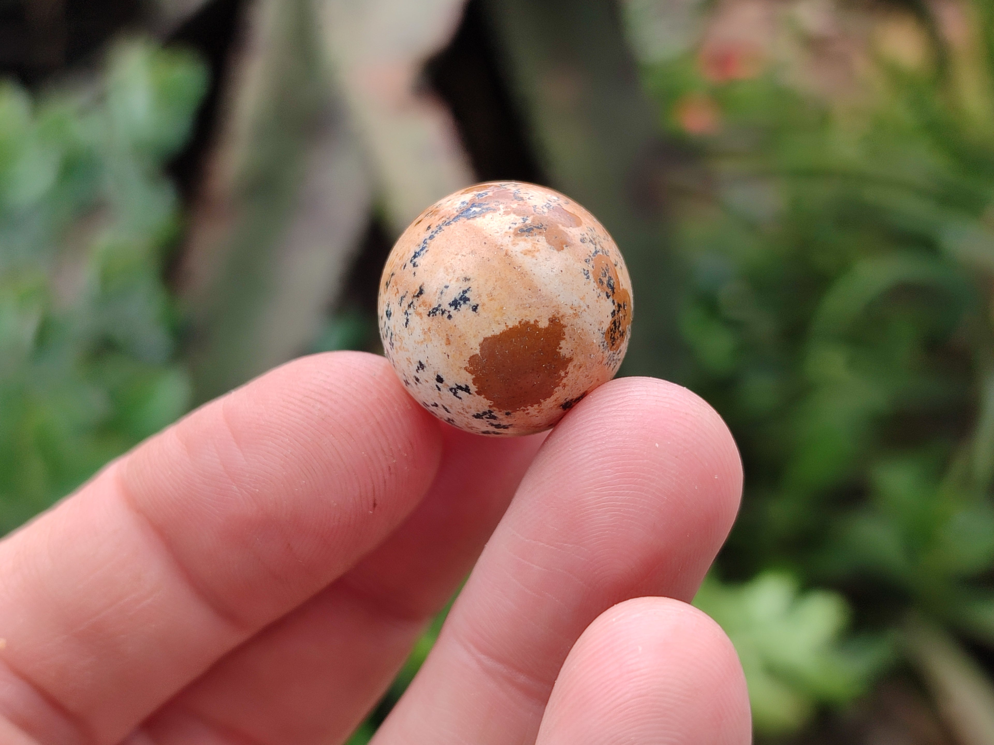 Polished Mini Namibian Desert Picture Stone Jasper Sphere-Balls - Sold Per Item - From Ais-Ais Namibia - Toprock Gemstones and Minerals 