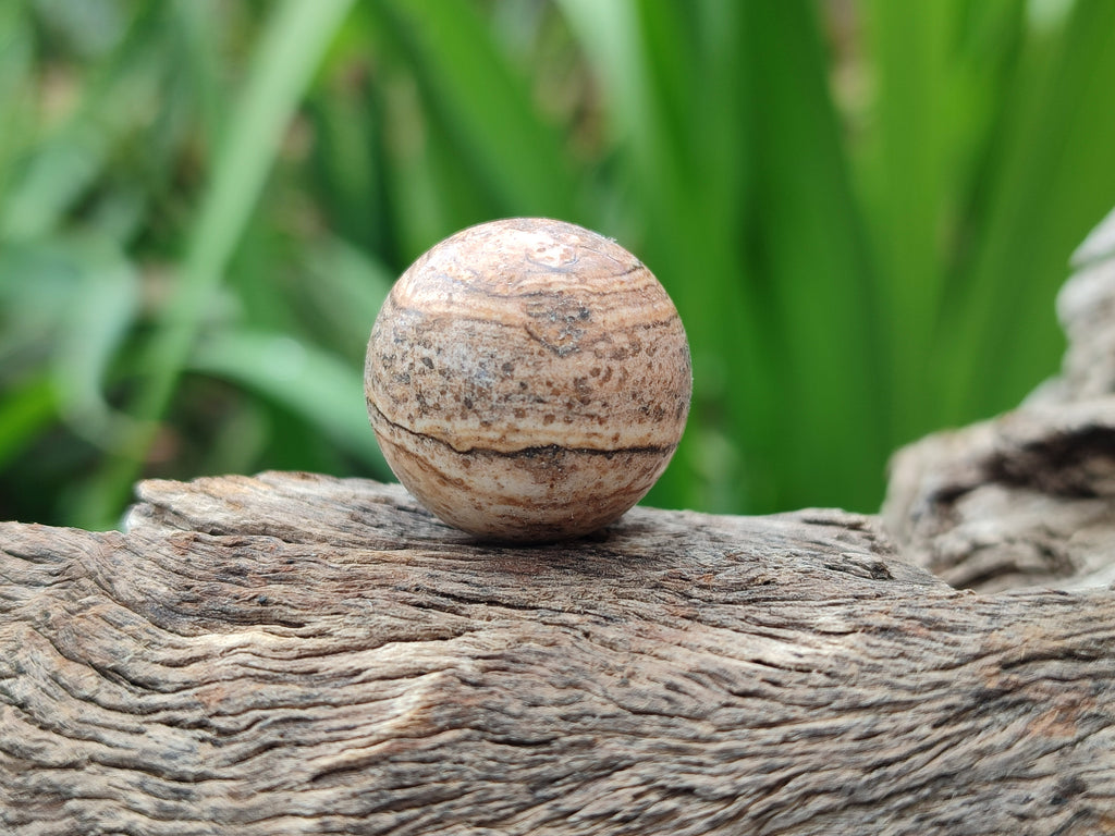 Polished Mini Namibian Desert Picture Stone Jasper Sphere-Balls - Sold Per Item - From Ais-Ais Namibia - Toprock Gemstones and Minerals 