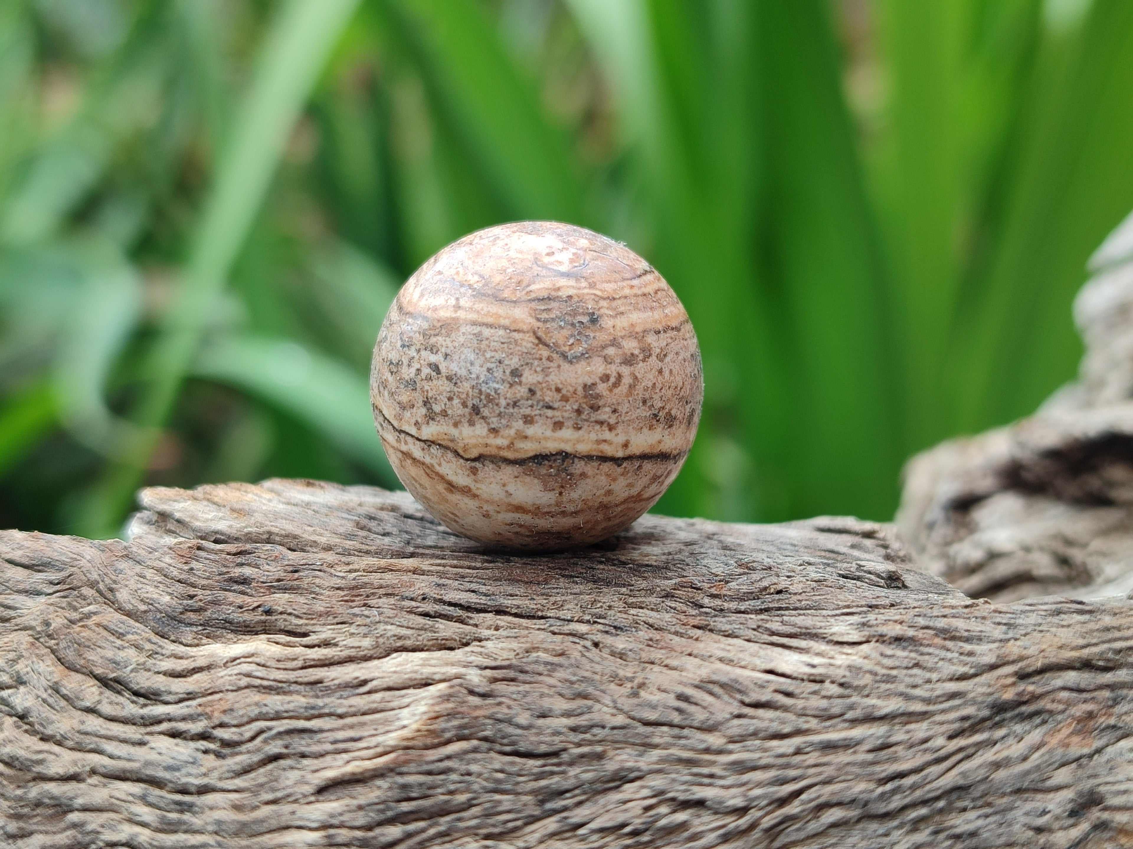 Polished Mini Namibian Desert Picture Stone Jasper Sphere-Balls - Sold Per Item - From Ais-Ais Namibia - Toprock Gemstones and Minerals 