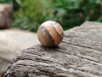 Polished Mini Namibian Desert Picture Stone Jasper Sphere-Balls - Sold Per Item - From Ais-Ais Namibia - Toprock Gemstones and Minerals 