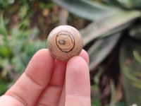 Polished Mini Namibian Desert Picture Stone Jasper Sphere-Balls - Sold Per Item - From Ais-Ais Namibia - Toprock Gemstones and Minerals 