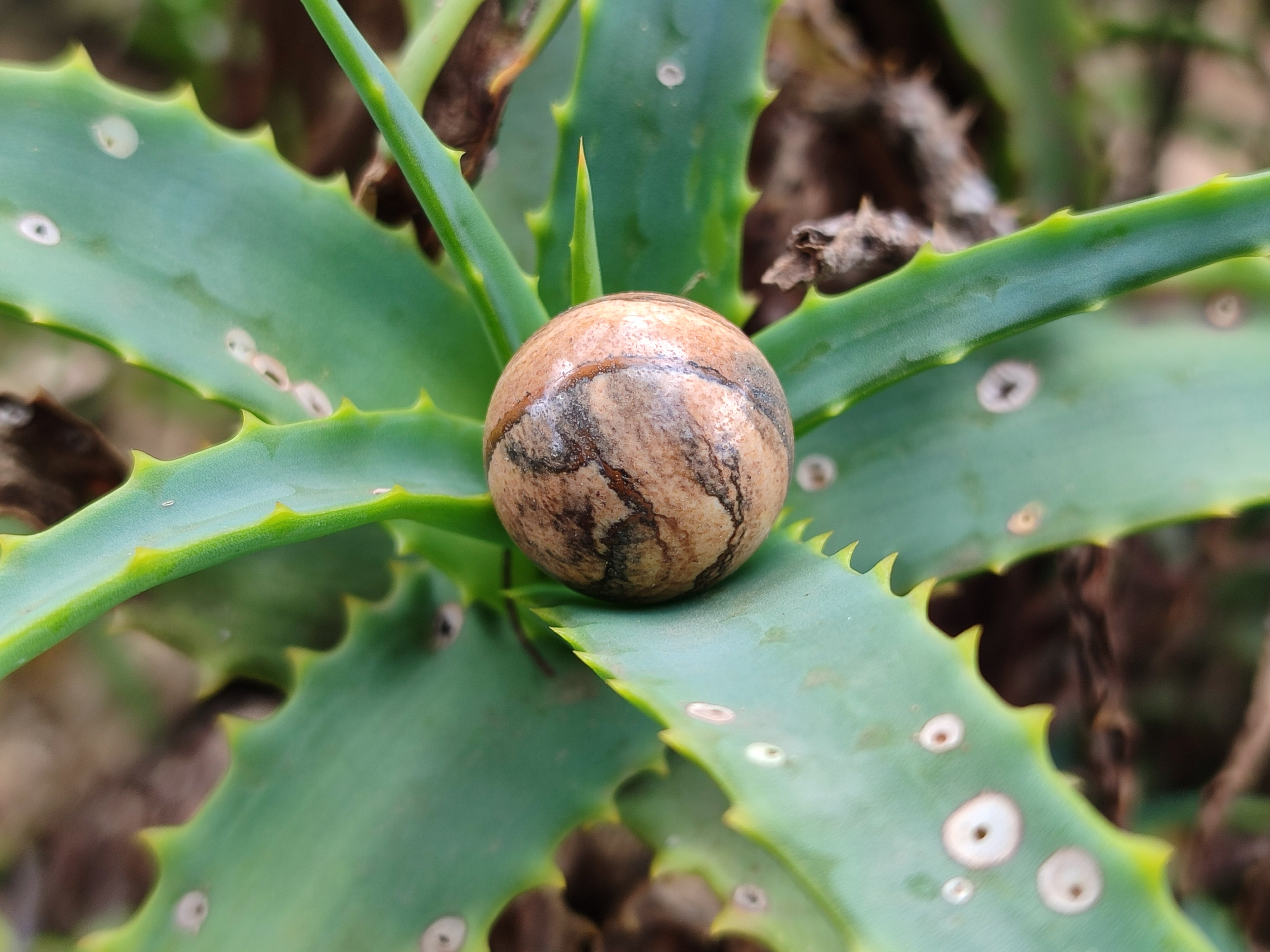 Polished Mini Namibian Desert Picture Stone Jasper Sphere-Balls - Sold Per Item - From Ais-Ais Namibia - Toprock Gemstones and Minerals 