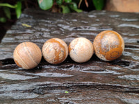 Polished Mini Namibian Desert Picture Stone Jasper Sphere-Balls - Sold Per Item - From Ais-Ais Namibia - Toprock Gemstones and Minerals 