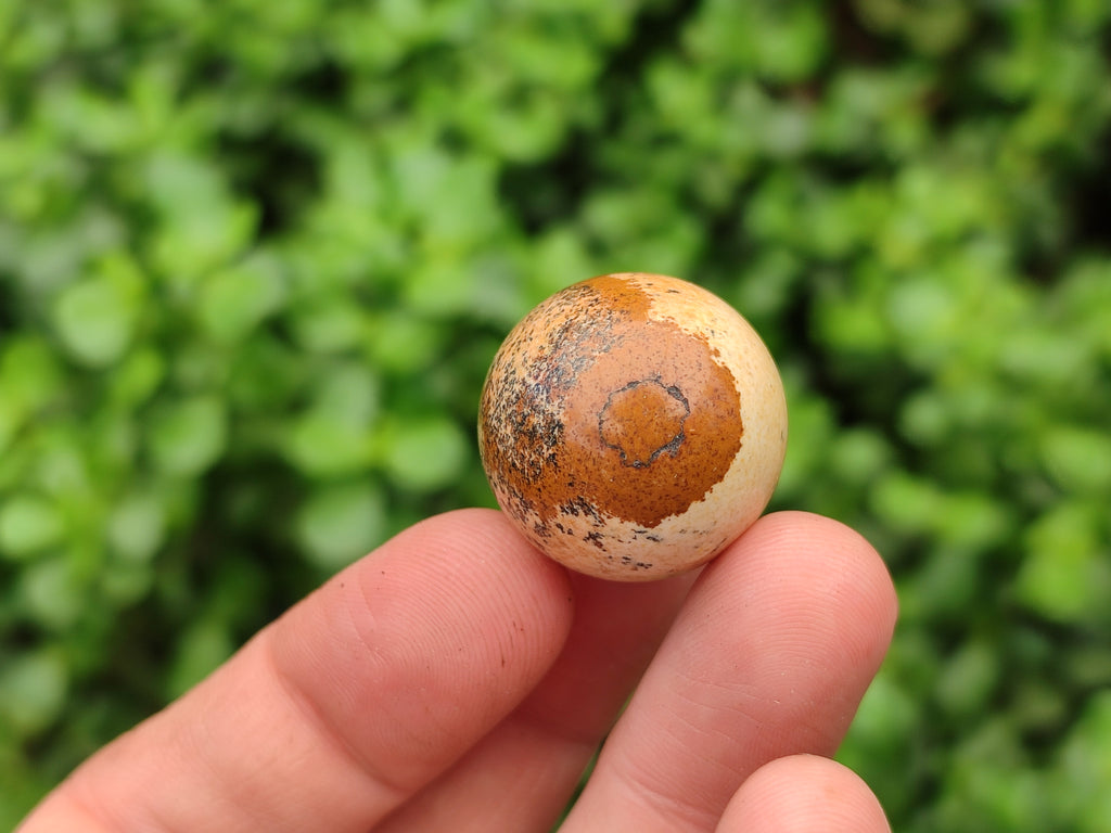 Polished Mini Namibian Desert Picture Stone Jasper Sphere-Balls - Sold Per Item - From Ais-Ais Namibia - Toprock Gemstones and Minerals 