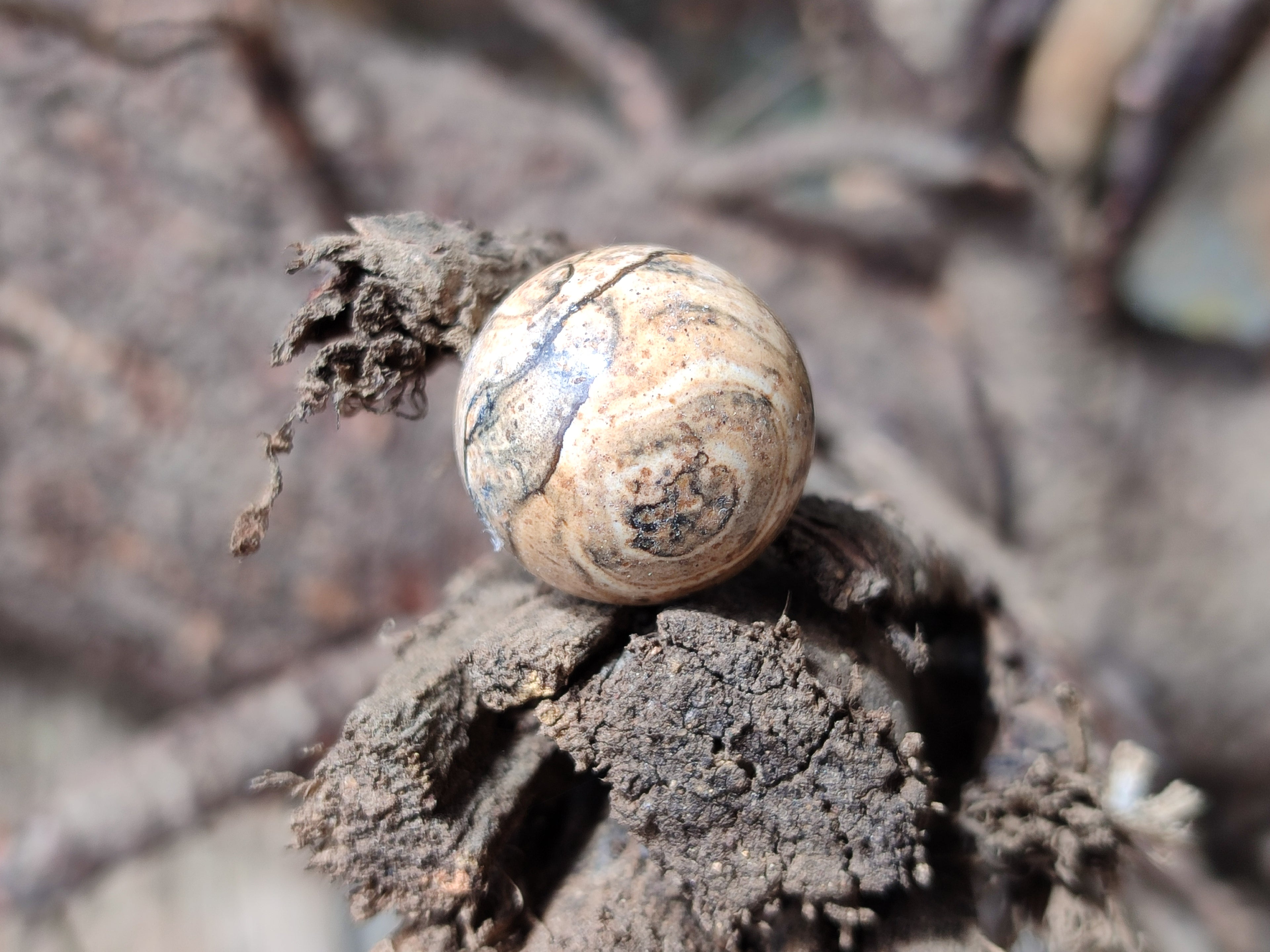 Polished Mini Namibian Desert Picture Stone Jasper Sphere-Balls - Sold Per Item - From Ais-Ais Namibia - Toprock Gemstones and Minerals 